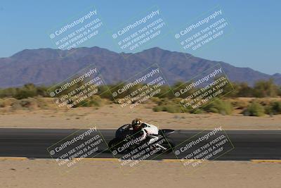 media/Nov-11-2023-SoCal Trackdays (Sat) [[efd63766ff]]/Turn 10 Inside (120pm)/